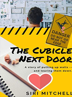 The Cubicle Next Door - Amazon Link